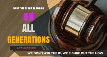 Timeless Legal Principles: Binding Laws Across Generations and Eras