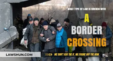 Border Crossing Violations: Understanding the Legal Consequences of Illegal Entry