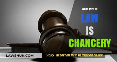 Understanding Chancery Law: Origins, Principles, and Modern Applications
