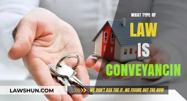 Understanding Conveyancing: The Legal Process of Property Transfer Explained