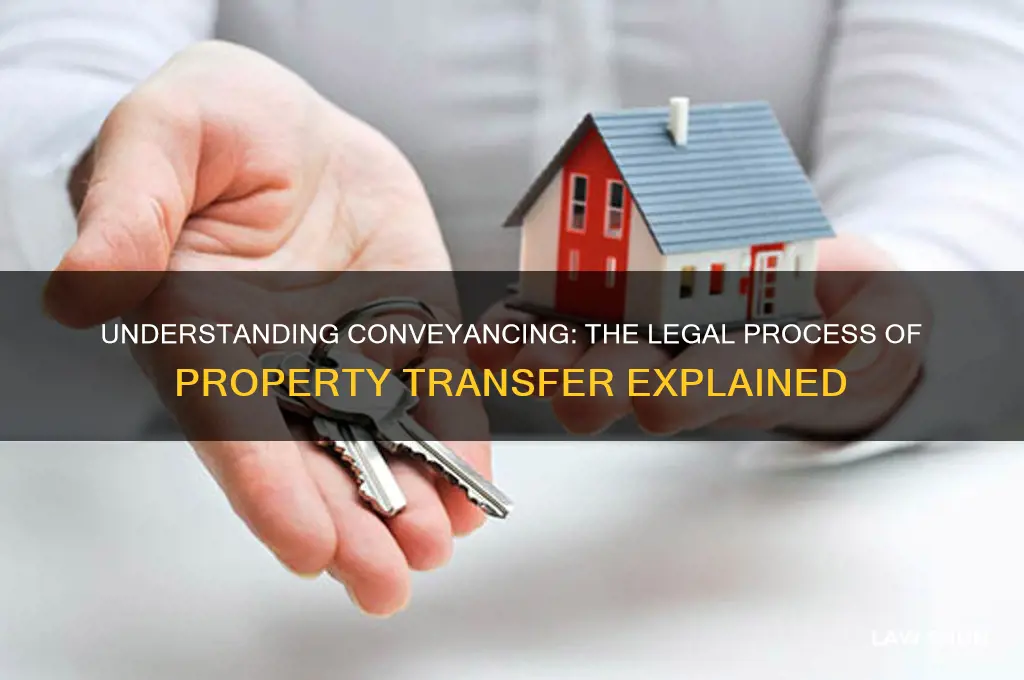 what type of law is conveyancing