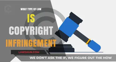 Understanding Copyright Infringement: A Key Aspect of Intellectual Property Law
