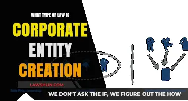 Understanding Corporate Entity Creation: A Guide to Business Law Essentials