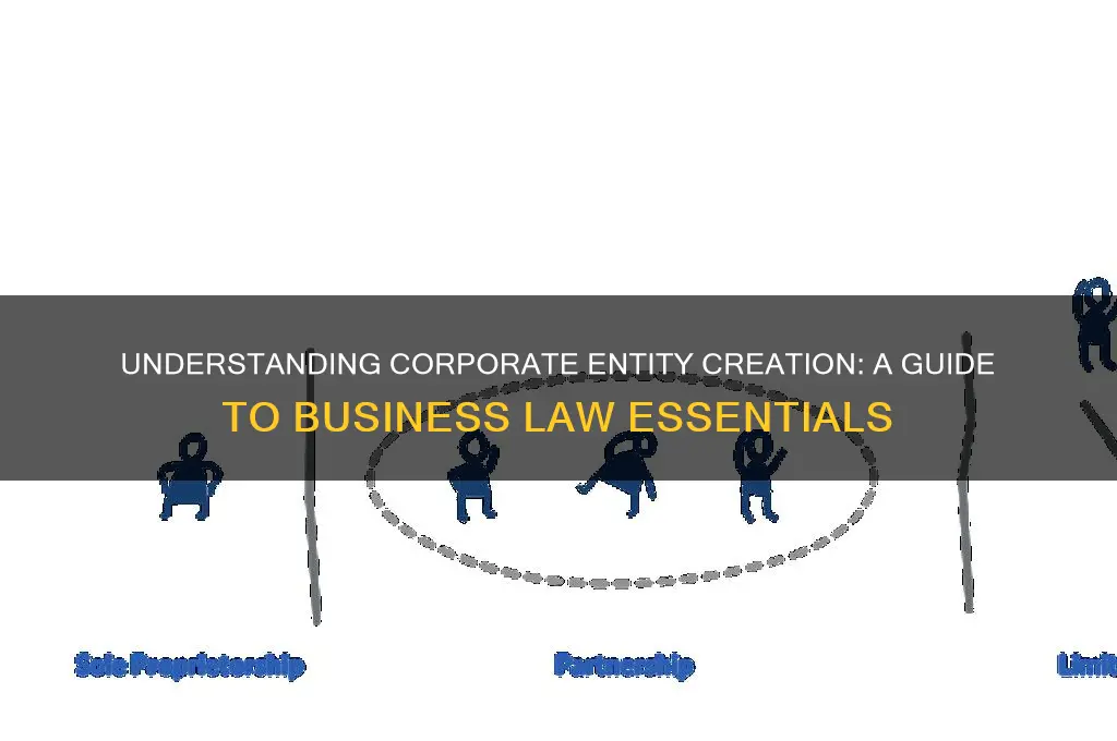 what type of law is corporate entity creation