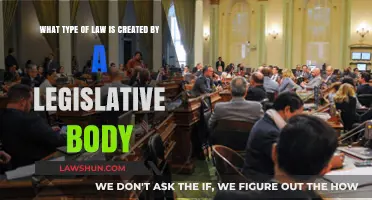 Statutory Law: Legislative Body's Creation