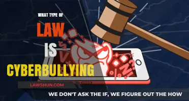 Understanding Cyberbullying: Legal Classification and Consequences Explained