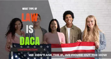 Understanding DACA: Immigration Law's Deferred Action Policy Explained