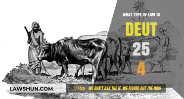 Understanding Deuteronomy 25:4: Animal Rights and Labor Laws Explored