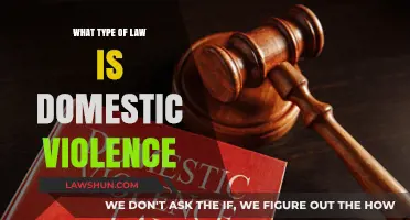 Understanding Domestic Violence Law: Types, Protections, and Legal Recourse