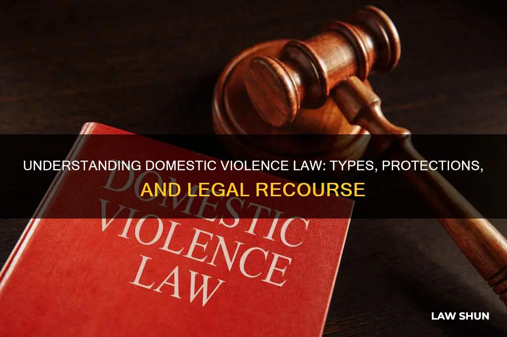 what type of law is domestic violence