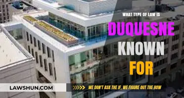 Duquesne University's Legal Legacy: Exploring Its Renowned Law Specializations