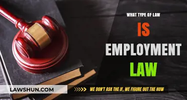 Understanding Employment Law: Key Principles and Workplace Applications Explained