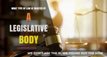 Understanding Statutory Law: Legislative Enactments and Their Legal Impact