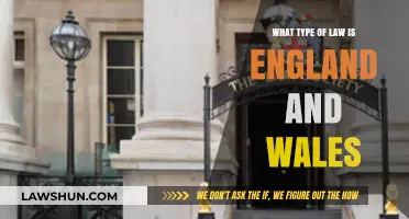 Understanding the Legal System: What Type of Law Governs England and Wales?