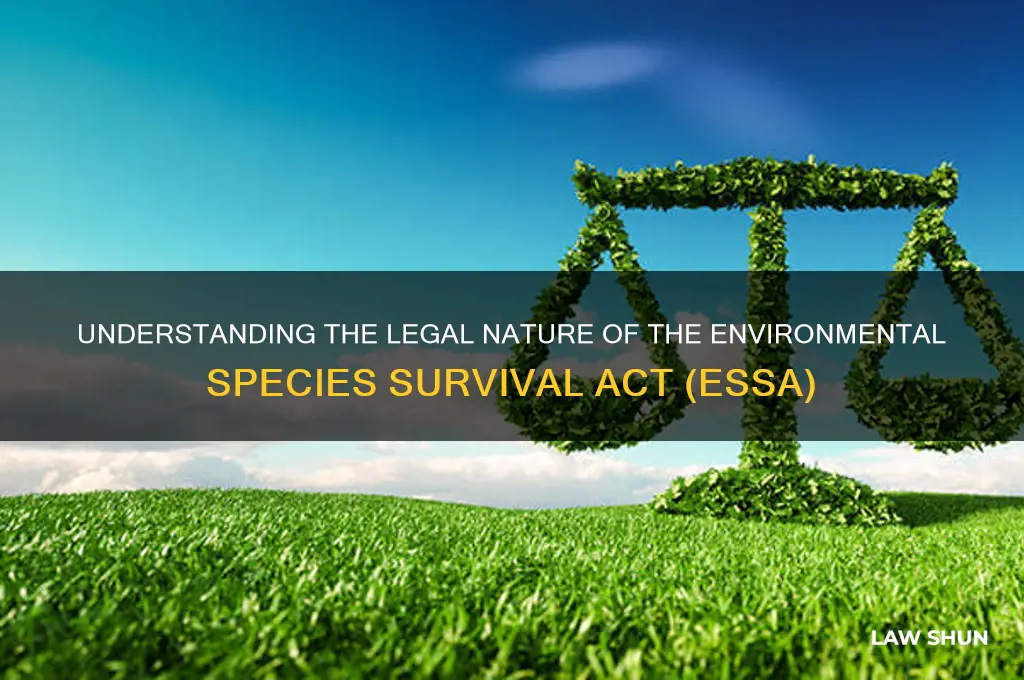 what type of law is essa