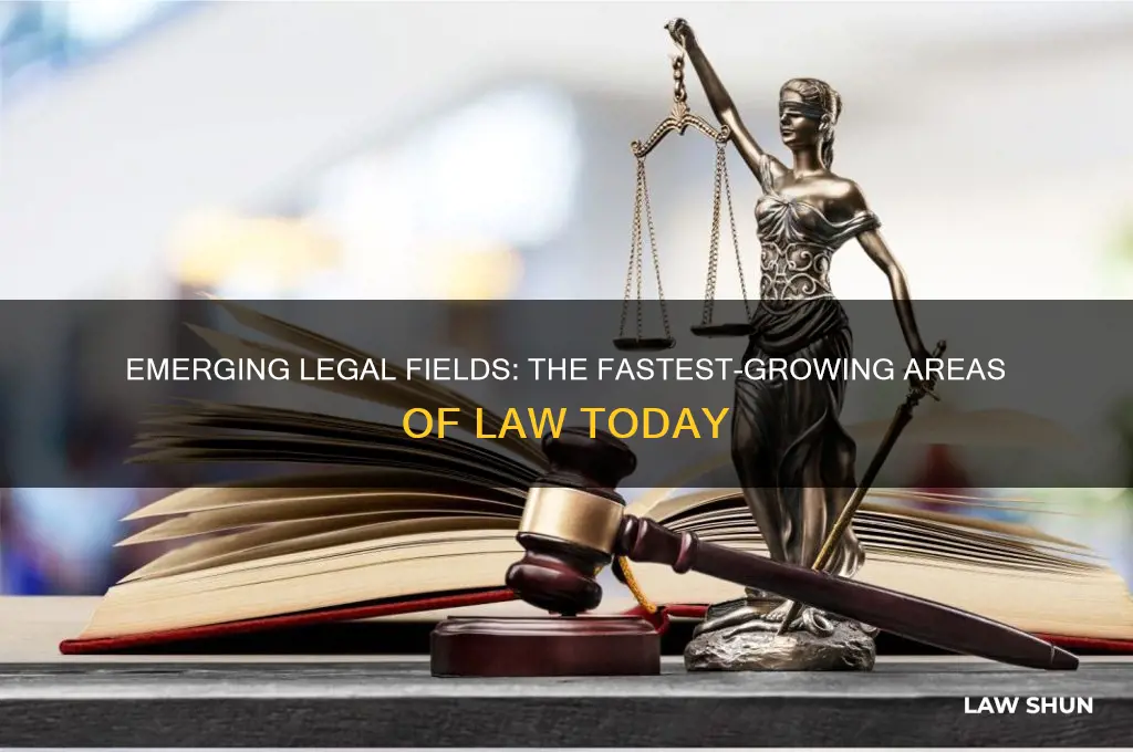 what type of law is growing the most