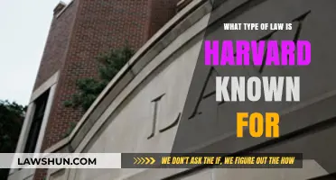 Harvard Law School's Renowned Specializations: A Comprehensive Overview