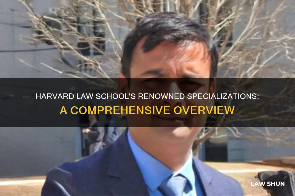 what type of law is harvard known for