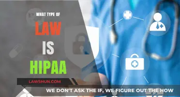 Understanding HIPAA: A Comprehensive Guide to Healthcare Privacy Law
