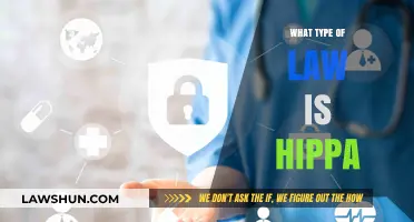 Understanding HIPAA: A Comprehensive Guide to Healthcare Privacy Law
