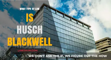 Understanding Husch Blackwell's Legal Expertise and Practice Areas
