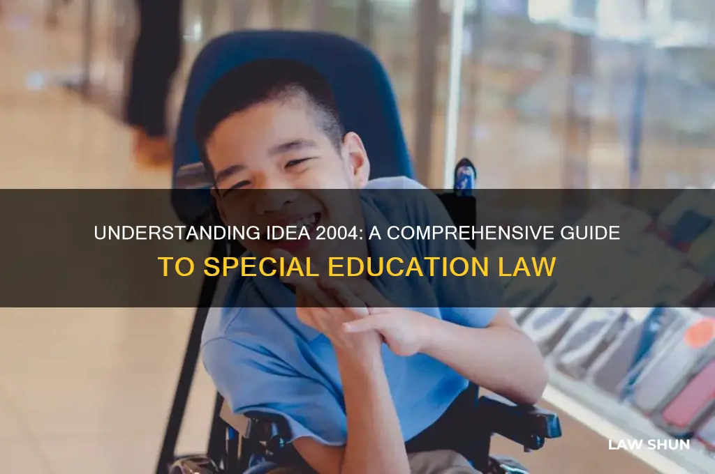 what type of law is idea 2004