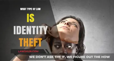 Understanding Identity Theft: Legal Classification and Consequences Explained