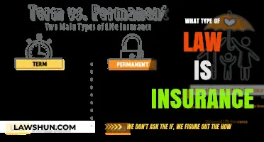 Understanding Insurance Law: Types, Regulations, and Legal Framework Explained
