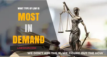 High-Demand Legal Fields: Emerging Trends and Career Opportunities in Law