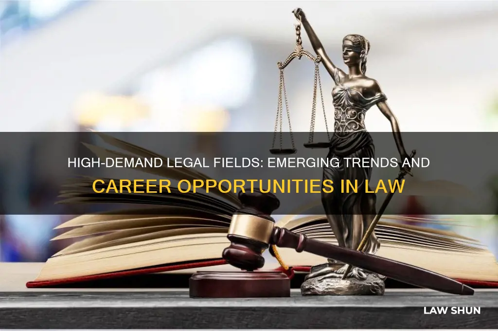 what type of law is most in demand