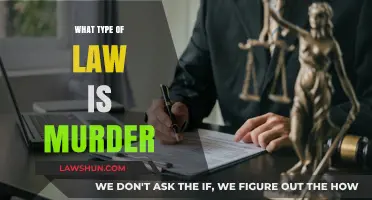 Understanding Murder Charges: Exploring the Legal Classification of Homicide