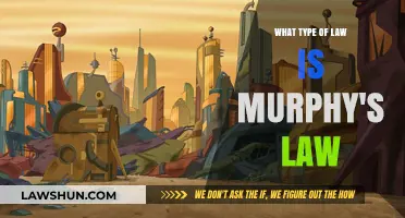 Understanding Murphy's Law: Is It a Legal Principle or Life's Irony?