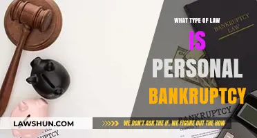 Understanding Personal Bankruptcy Law: A Comprehensive Guide to Its Legal Nature