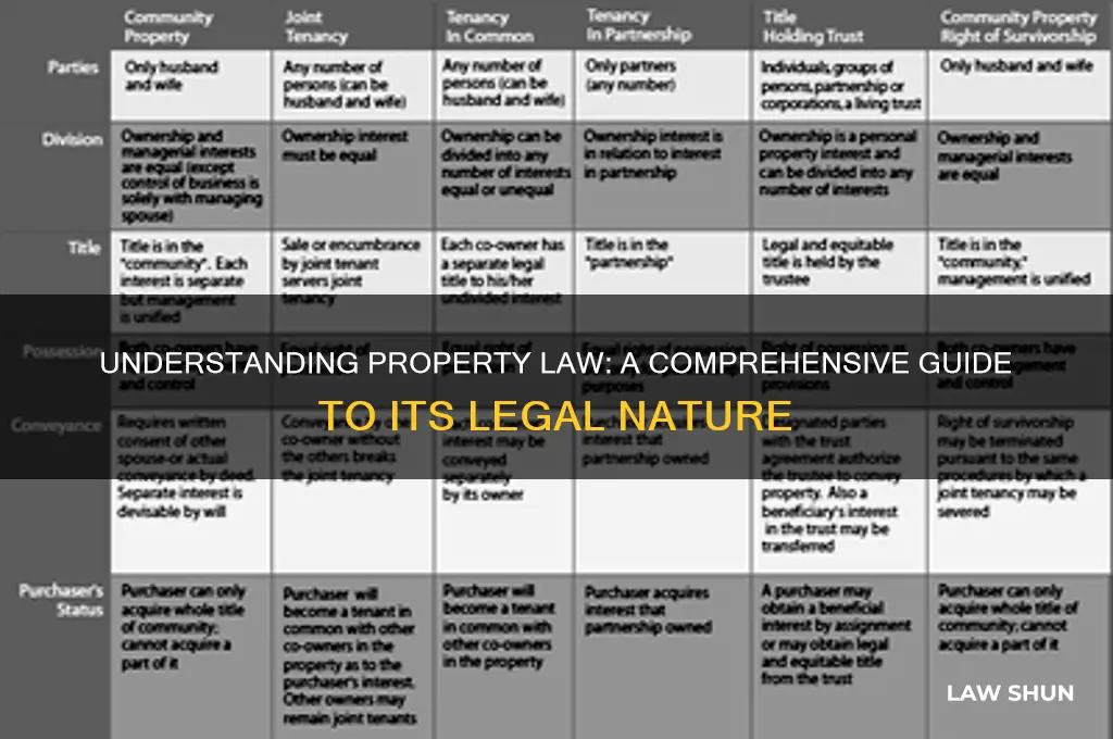 what type of law is property law