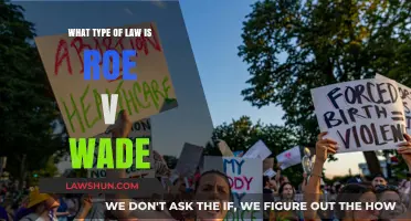 Understanding Roe v. Wade: Landmark Case in Constitutional Law