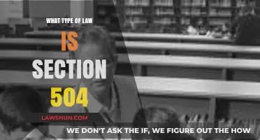 Understanding Section 504: A Key Civil Rights Law Explained