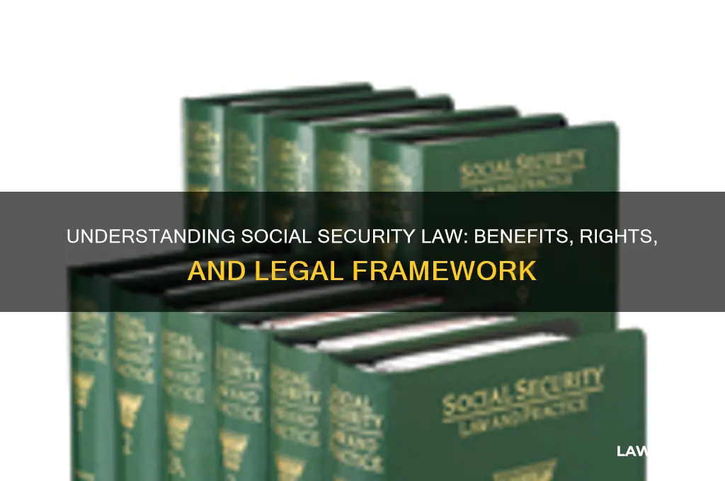 what type of law is social security