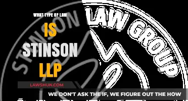 Understanding Stinson LLP: Practice Areas and Legal Expertise Explained