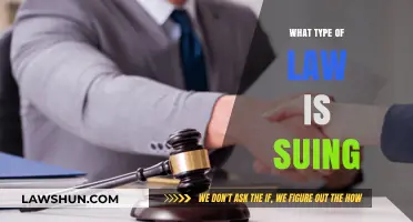 Understanding the Legal Framework: What Type of Law Governs Suing?