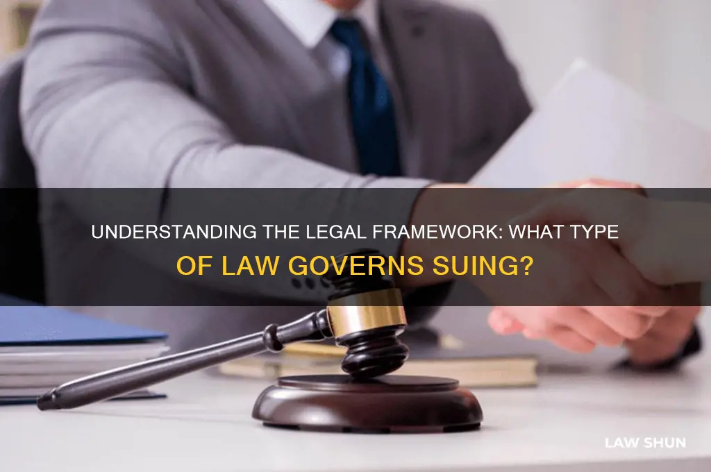 what type of law is suing