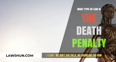 Understanding the Death Penalty: Its Legal Classification and Implications