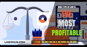 Maximizing Earnings: Exploring the Most Profitable Legal Practice Areas