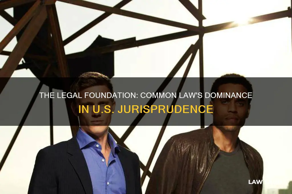 what type of law is the us predominately based on