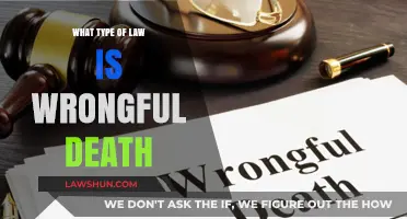 Understanding Wrongful Death Law: Types, Claims, and Legal Recourse