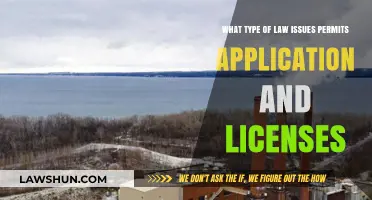 Navigating Permits, Applications, and Licenses: Legal Insights