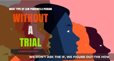Punishing Without Trial: Exploring the Controversial Realm of Extralegal Justice