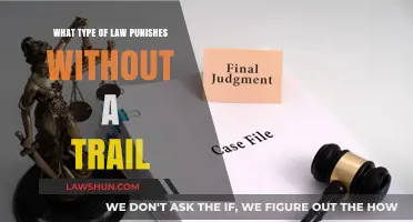 Punishing Without Trial: Understanding the Legal Framework of Summary Justice