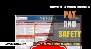 Understanding Labor Laws: Worker Pay, Safety, and Legal Protections
