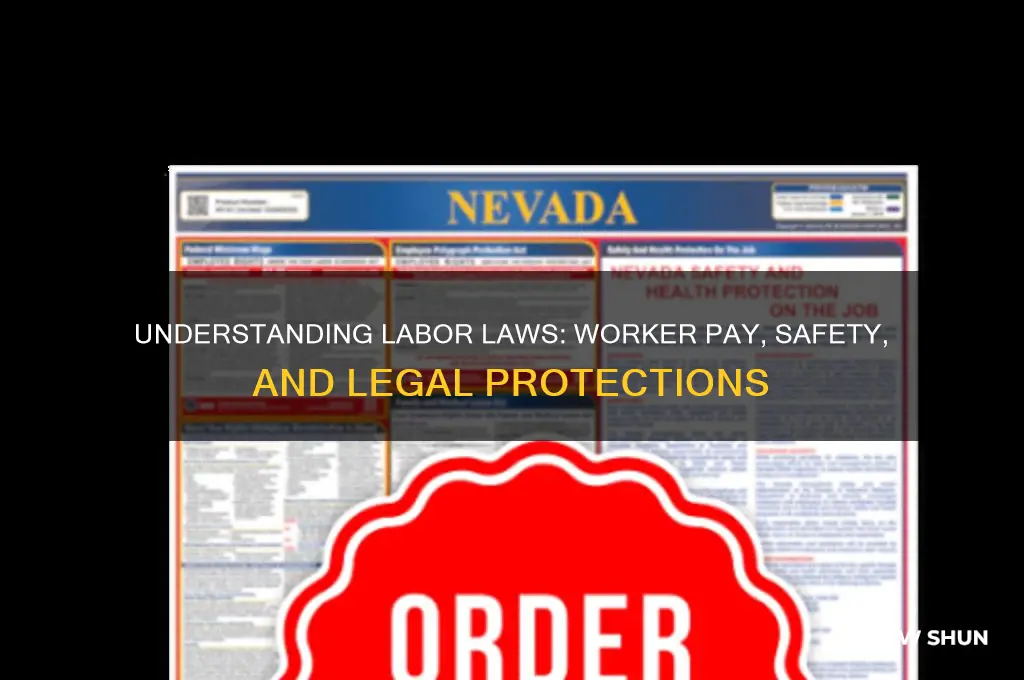 what type of law regulates how workers pay and safety