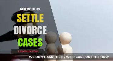 Divorce Law: Understanding Your Legal Options